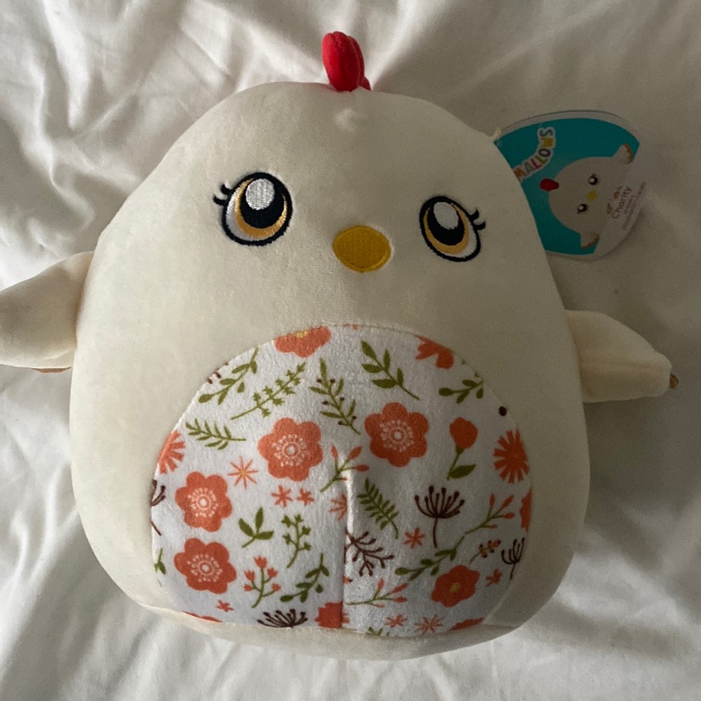 Charity Squishmallow